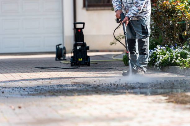 Best Pressure Washing Company Near Me  in Rancho Alegre, TX