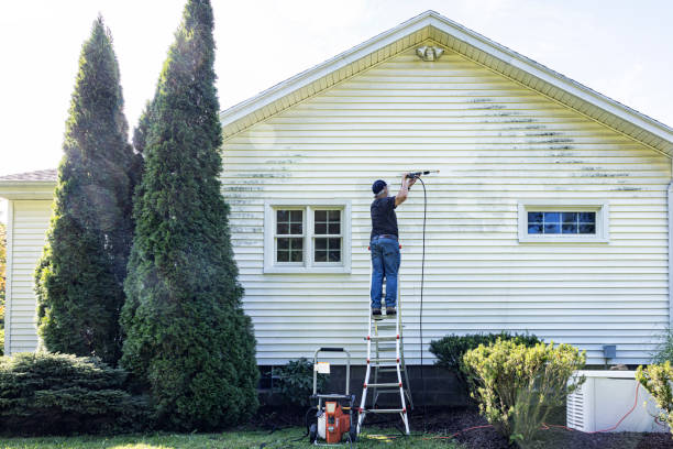 Best Pressure Washing Near Me  in Rancho Alegre, TX