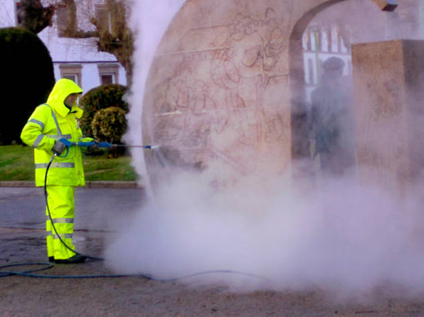 Best Roof Pressure Washing  in Rancho Alegre, TX